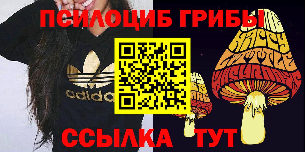 Псилоцибиновые грибы прущие грибы  Вход с VPN  Галлюциногенные грибы мухоморы  дарнет шоп  Стрежевой 